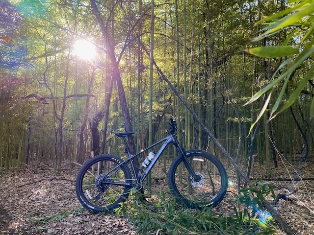 Riding through bamboo trails near San Antonio